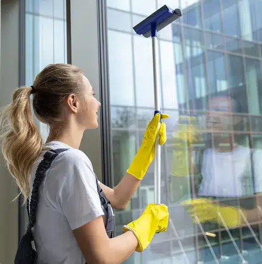 what-window-cleaning-services-do-we-offer-in-texas what-window-cleaning-services-do-we-offer-in-texas