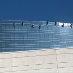 understanding-the-essentials-of-high-rise-window-cleaning-in-dfw